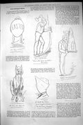 Original Old Antique Print 1883 Captious Critic Theatre Easter Egg Adelphi 19th