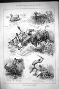Antique Old Print 1883 Hunting Boats Burmah Buffalo Deer Rhinocerous Animals