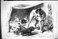 Original Old Antique Print 1883 Foster Mother Pet Dogs Animals Moore Victorian