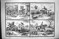 Old 1883 Sketches Phiz Memorial Exhibition Liverpool Horses Hunting H Victorian