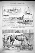 Old 1883 Royal Canoe Club Challenge Cup Hendon Stable Secret Horse Pe Victorian