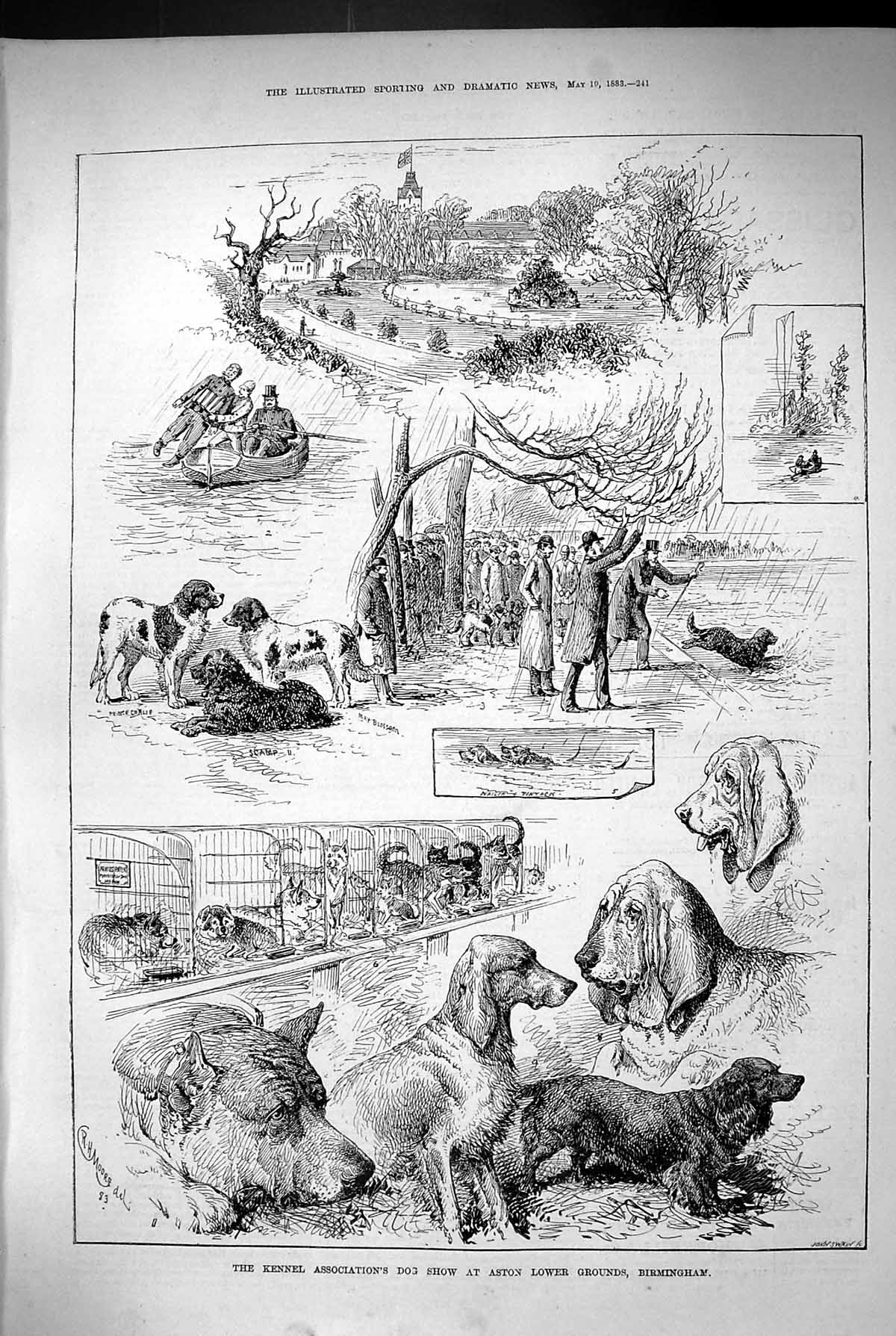 Old Print 1883 Kennel Association Dog Show Aston Lower Grounds Birmingham 19th