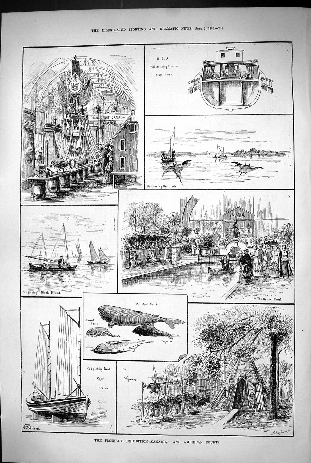 Old 1883 Fisheries Exhibition Canadian American Courts Fish Beaver Po Victorian