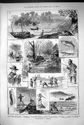 Old Print 1883 River Fishing Cornwall Mullet Trout Plaice Fish Fisherman 19th