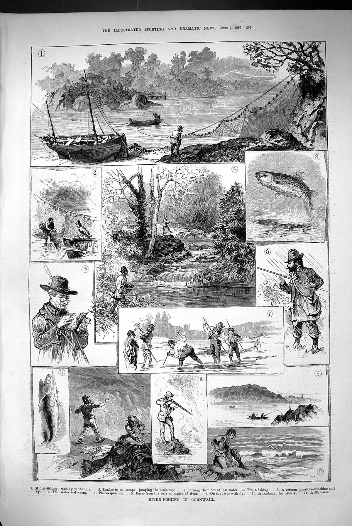Old Print 1883 River Fishing Cornwall Mullet Trout Plaice Fish Fisherman 19th