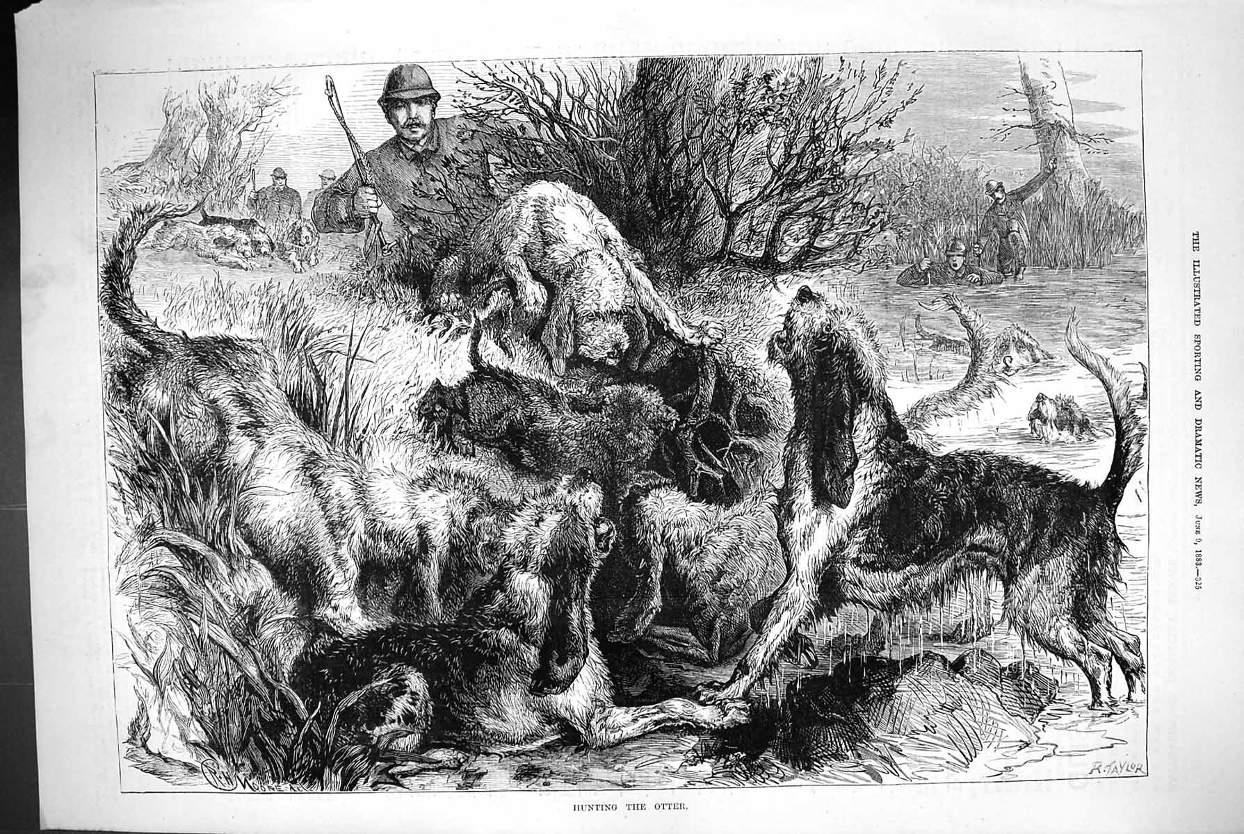 Antique Print 1883 Otter Hunting Hounds Attacking Dogs Huntsmen Sport Moore