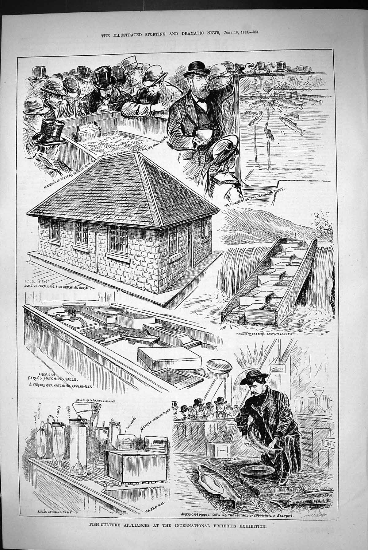 Old 1883 Fish Culture Appliances International Fisheries Exhibition M Victorian