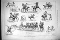 Old Print 1883 Military Tournament Horses Siers Wrestling Sword Tent Peg 19th