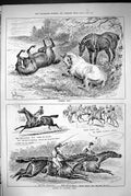 Old 1883 Horse Racing Sandown Park Welter Handicap Ditton Surrey Stak Victorian