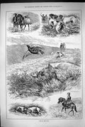 Antique Print 1883 Grouse Shooting Birds Hunting Huntsman Hound Dogs Horses