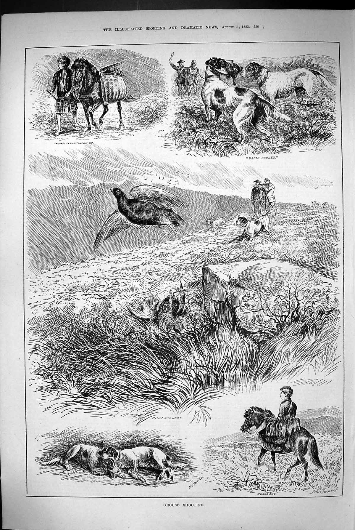 Antique Print 1883 Grouse Shooting Birds Hunting Huntsman Hound Dogs Horses
