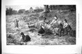 Old Antique Print 1883 Country Scene Children Farm Animals Pigs Antuque 19th