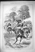Original Old Antique Print 1883 Rearing Horse Racing Jockeys Sport Spectators