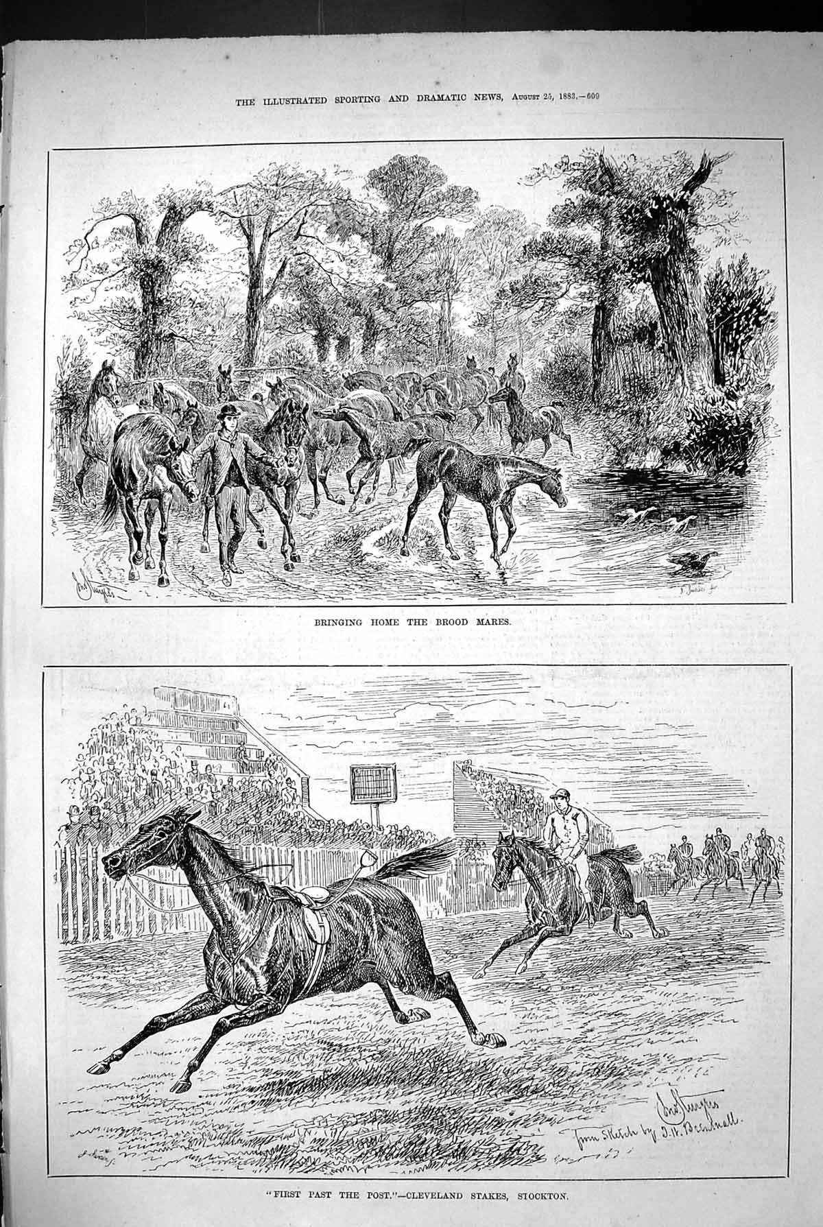 Old 1883 Bringing Home Brood Mares Horses Cleveland Stakes Stockton S Victorian
