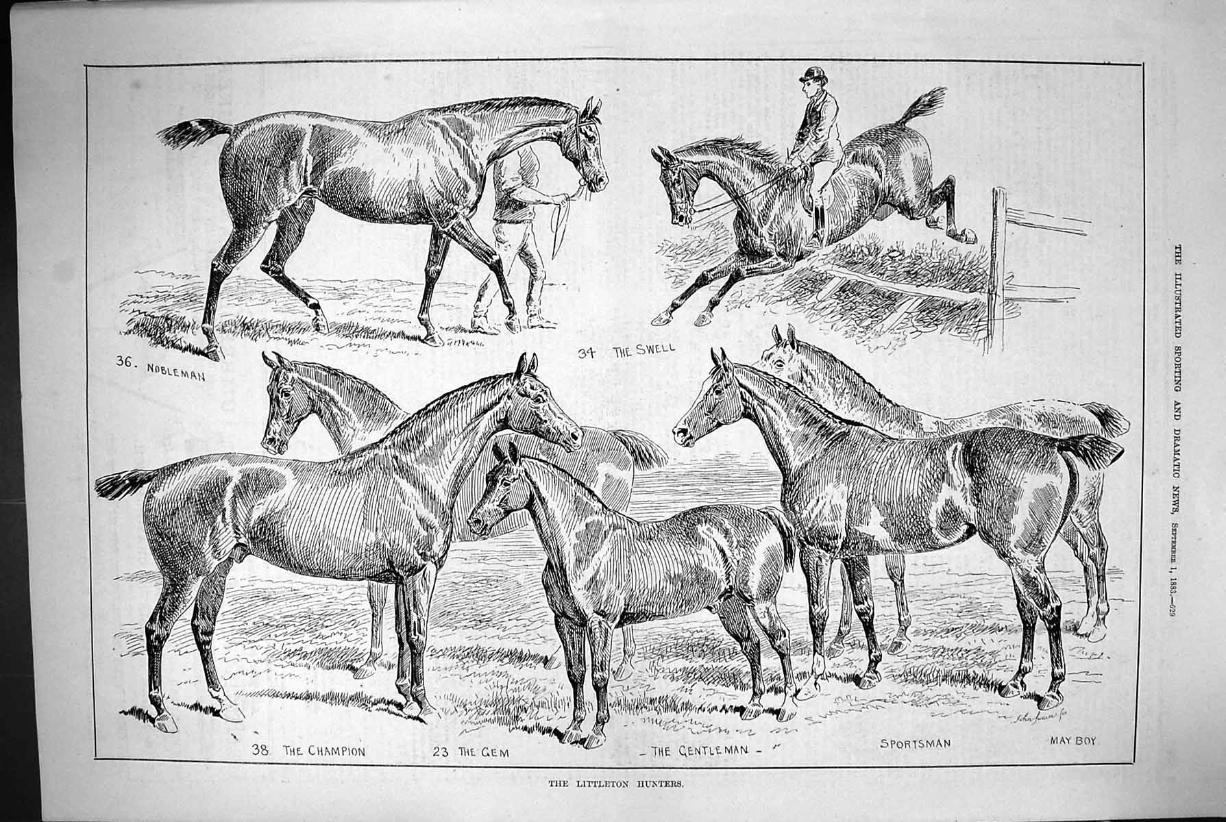 Old 1883 Littleton Hunters Horses Sportsman May Boy Swell Nobleman Ch Victorian