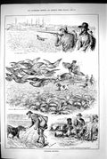 Old 1883 Partridge Shooting Hunting Birds Hounds Dogs Huntsmen Swain Victorian