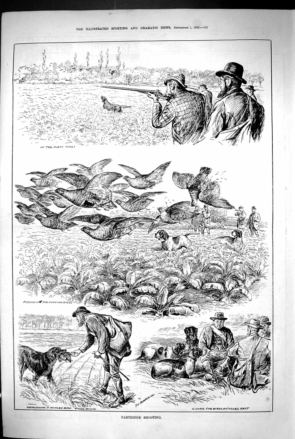 Old 1883 Partridge Shooting Hunting Birds Hounds Dogs Huntsmen Swain Victorian