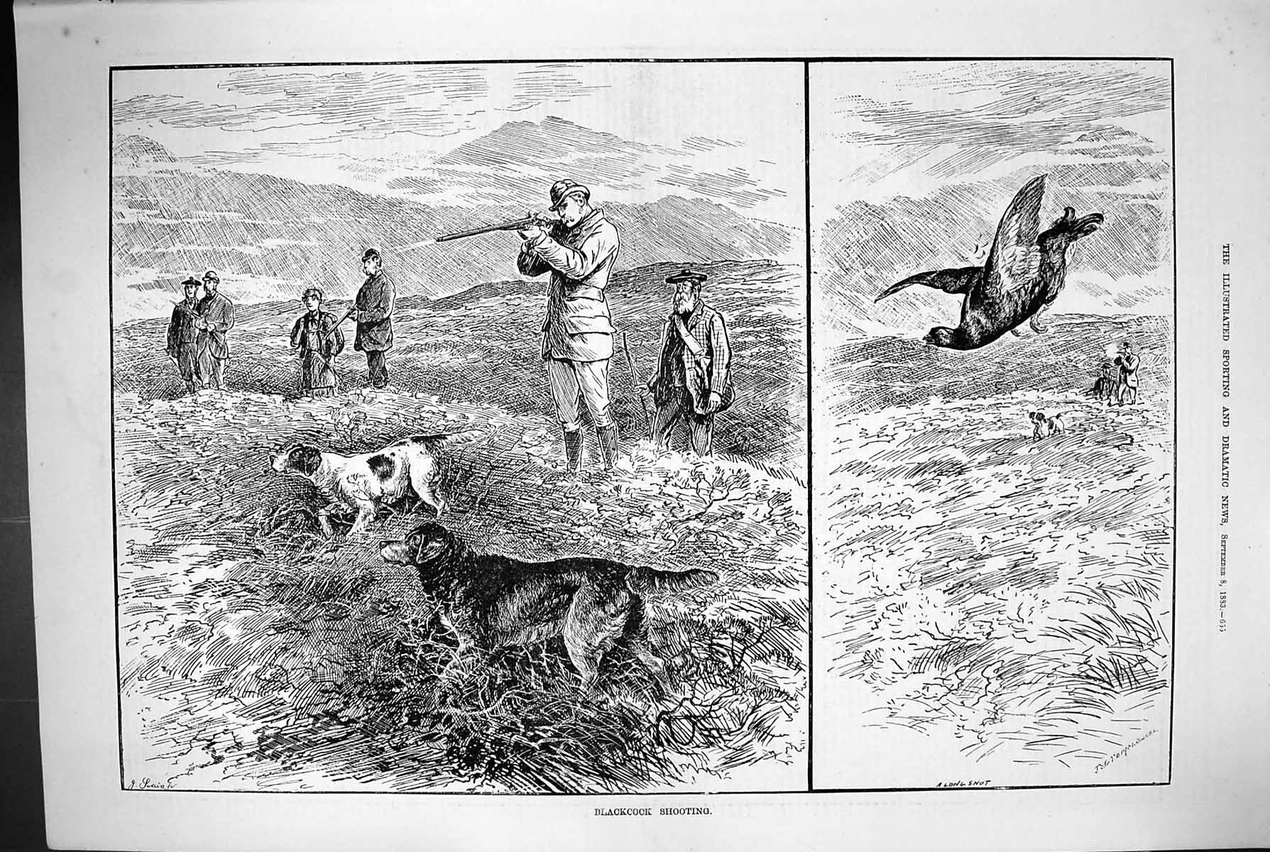 Antique Old Print 1883 Blackcock Shooting Birds Hunting Mountains Hounds Dogs