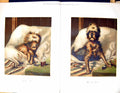 Original Old Antique Print 1883 Colour Sick Dog Bed Medicine JuddVictorian