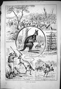 Old Sporting Dramatic News 1883 Kangaroo Hunting Sport Chum Percy Cra Victorian