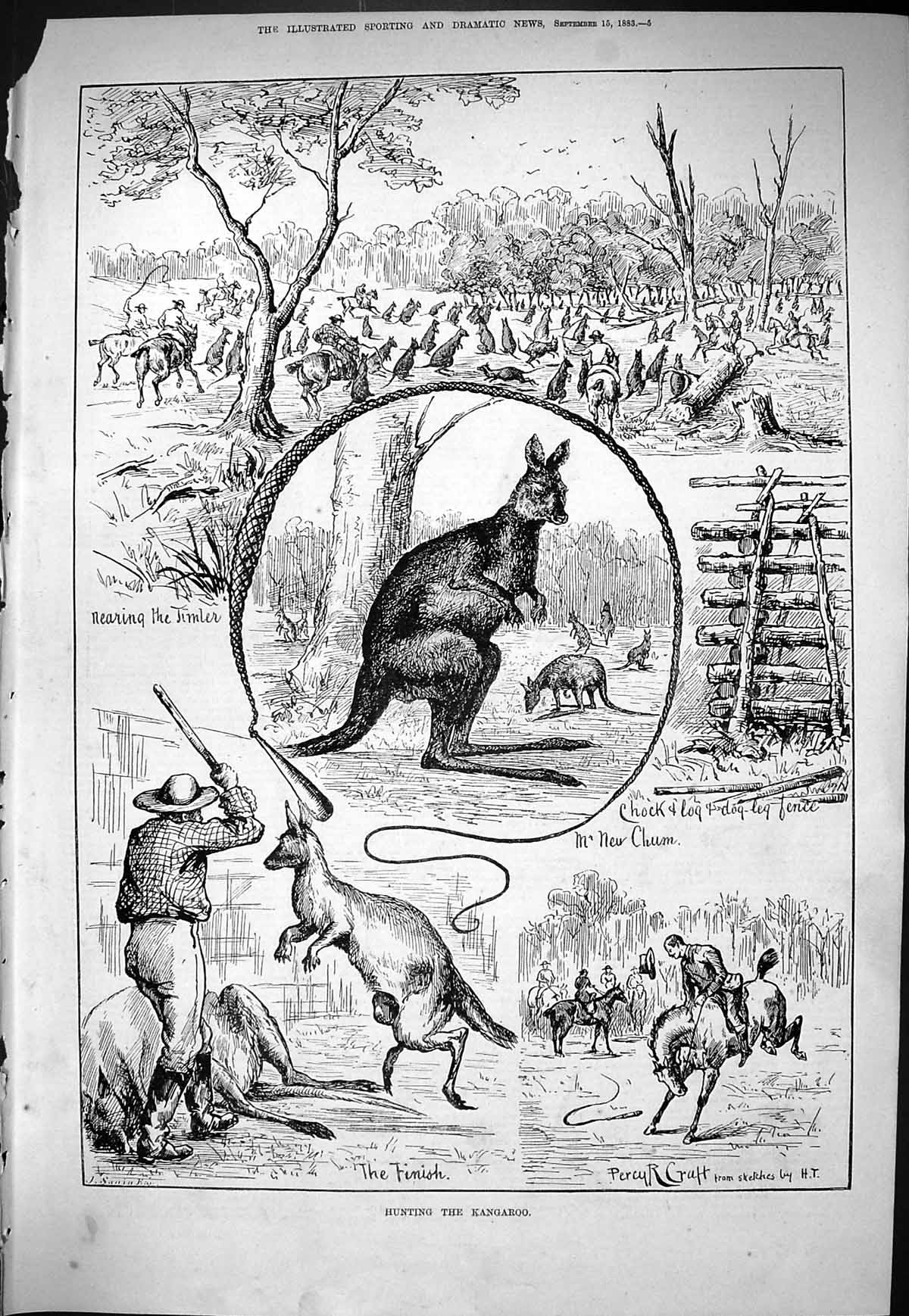 Old Sporting Dramatic News 1883 Kangaroo Hunting Sport Chum Percy Cra Victorian
