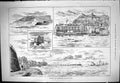 Old Sporting Dramatic News 1883 Hastings Eastbourne Regatta Sailing Y Victorian