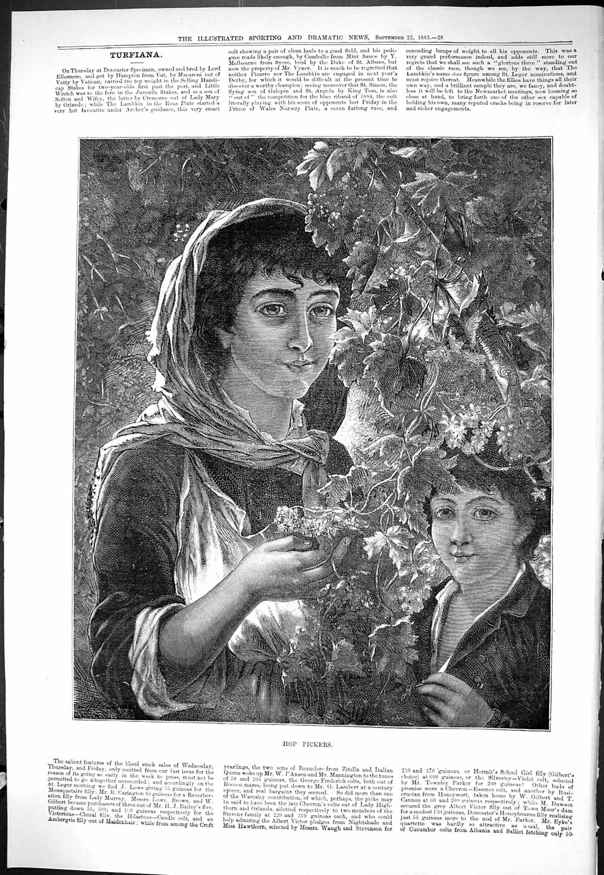 Old Sporting Dramatic News 1883 Fine Art Girsl Hop Pickers Agrigultur Victorian