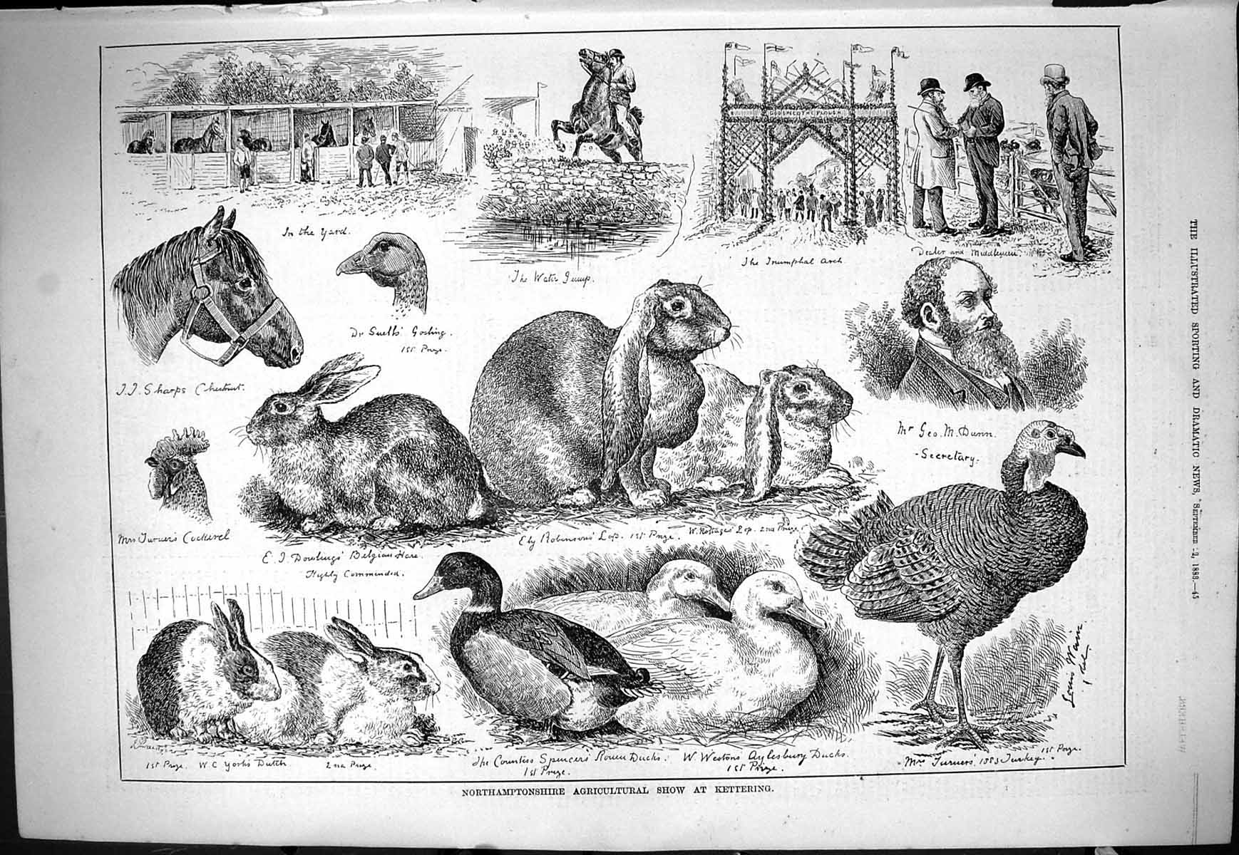 Old 1883 Agricultural Show Kettering Ducks Dunn Rabbits Cockerel Hare Victorian