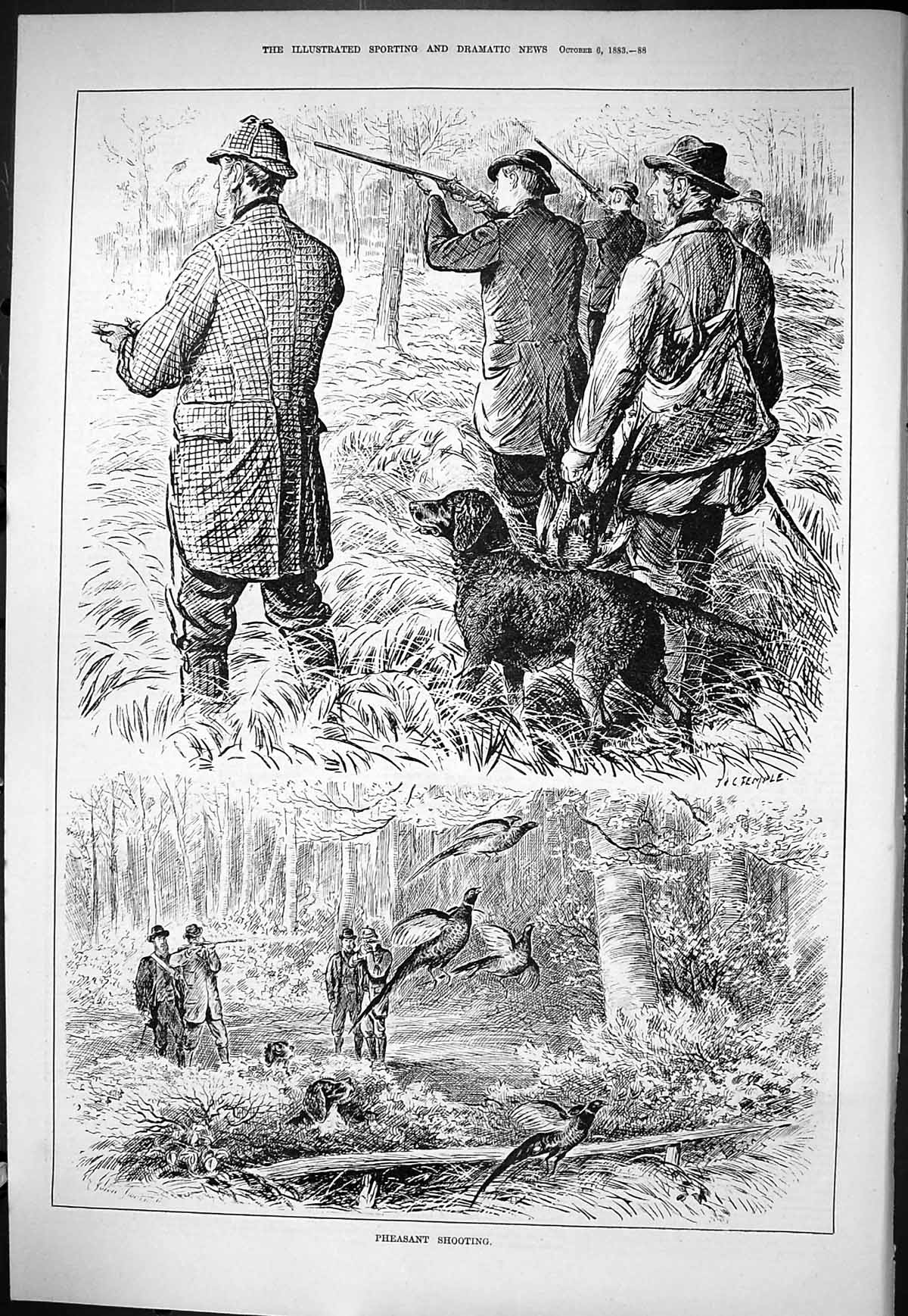 Old Sporting Dramatic News 1883 Pheasant Shooting Birds Hunting Sport Victorian