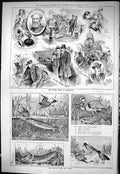 Old 1883 Fish Fowl Birds Hunting Dairy Show Islington Combermere Chee Victorian