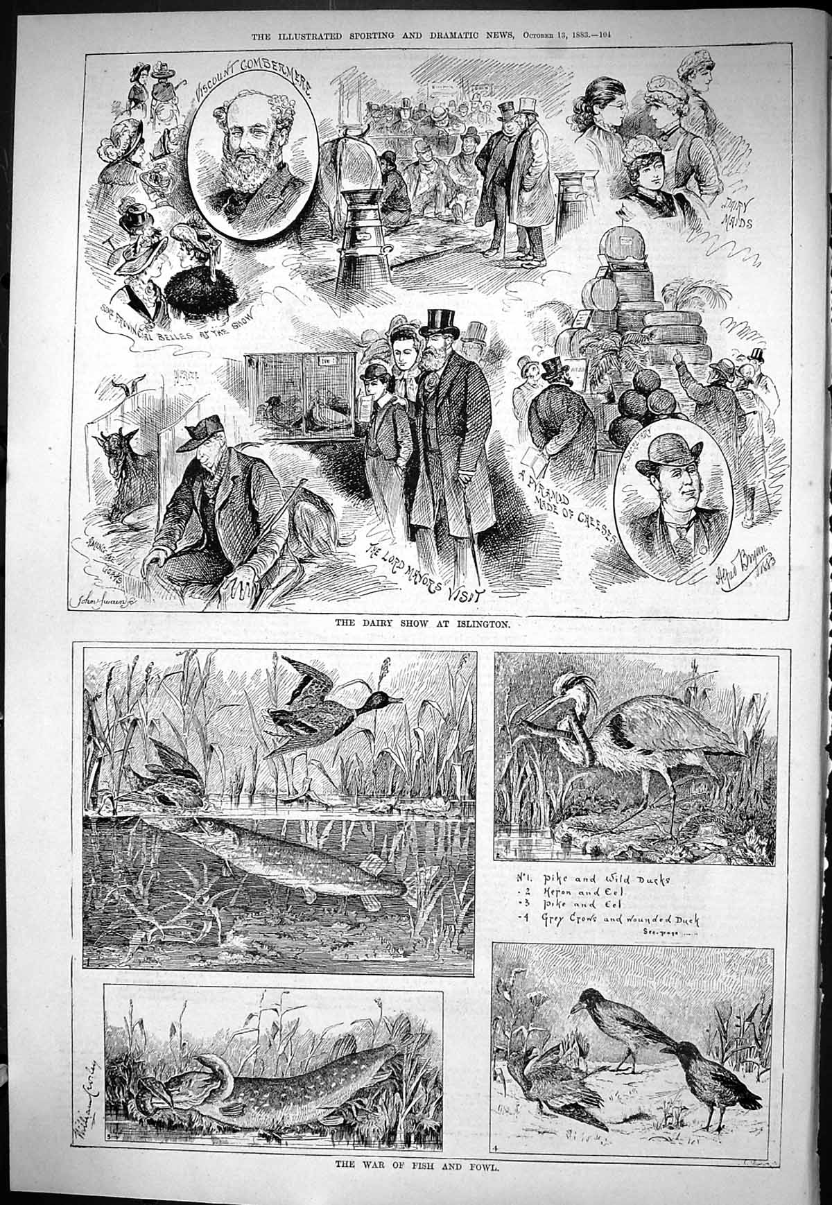 Old 1883 Fish Fowl Birds Hunting Dairy Show Islington Combermere Chee Victorian
