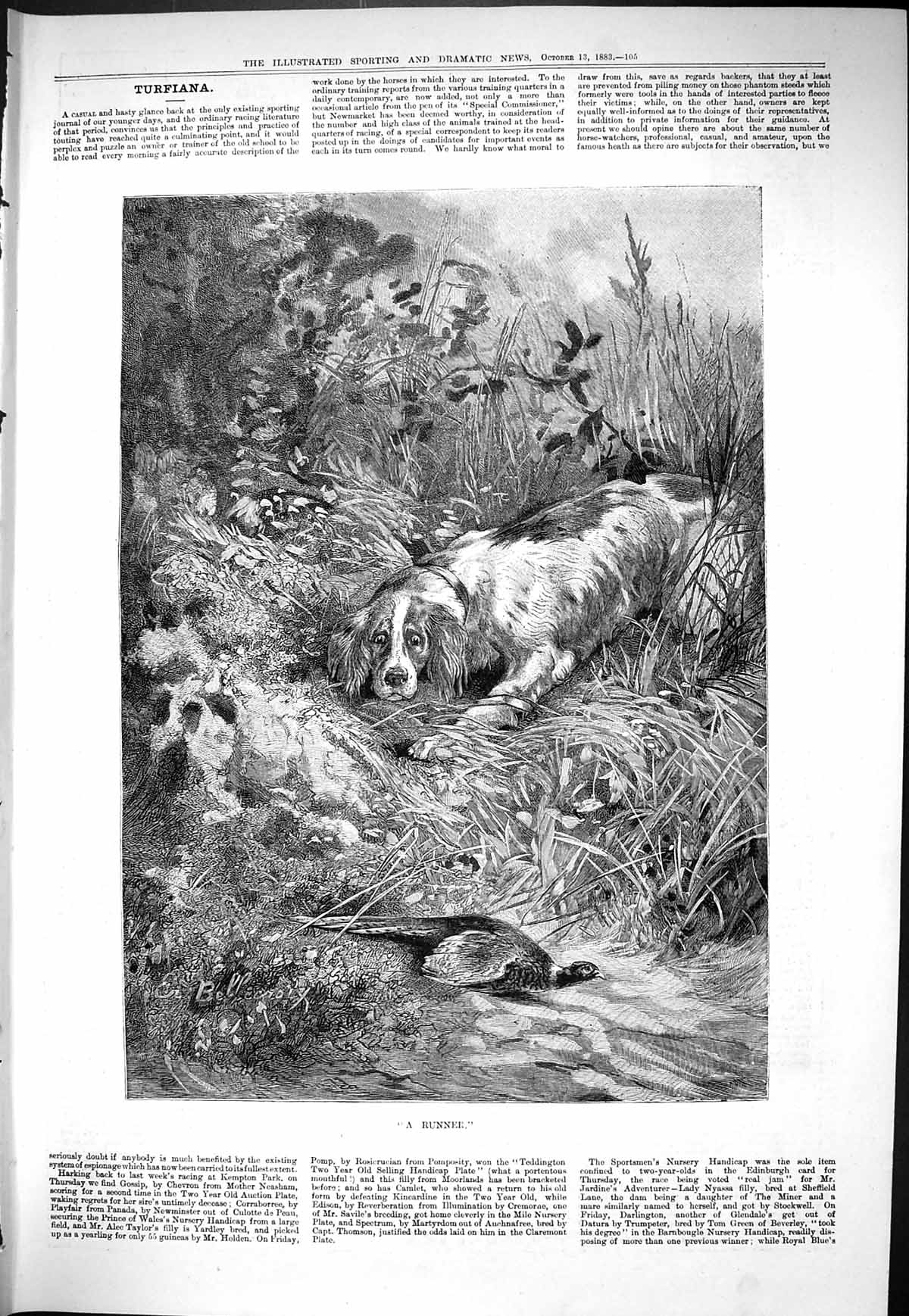 Old Sporting Dramatic News 1883 Runner Hound Dog Hunting Pheasant Hun Victorian