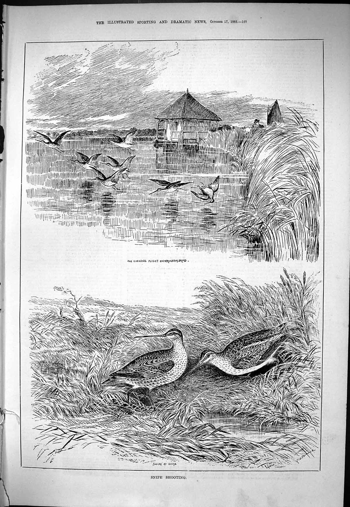Old Sporting Dramatic News 1883 Snipe Shooting Birds Wroxham Broad Sp Victorian