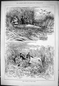 Old Sporting Dramatic News 1883 Wild Fowling Oulton Broad Birds Shoot Victorian