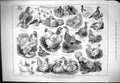 Old 1883 Poultry Pigeon Show Crystal Palace Cochin Bantam Aylesbury B Victorian