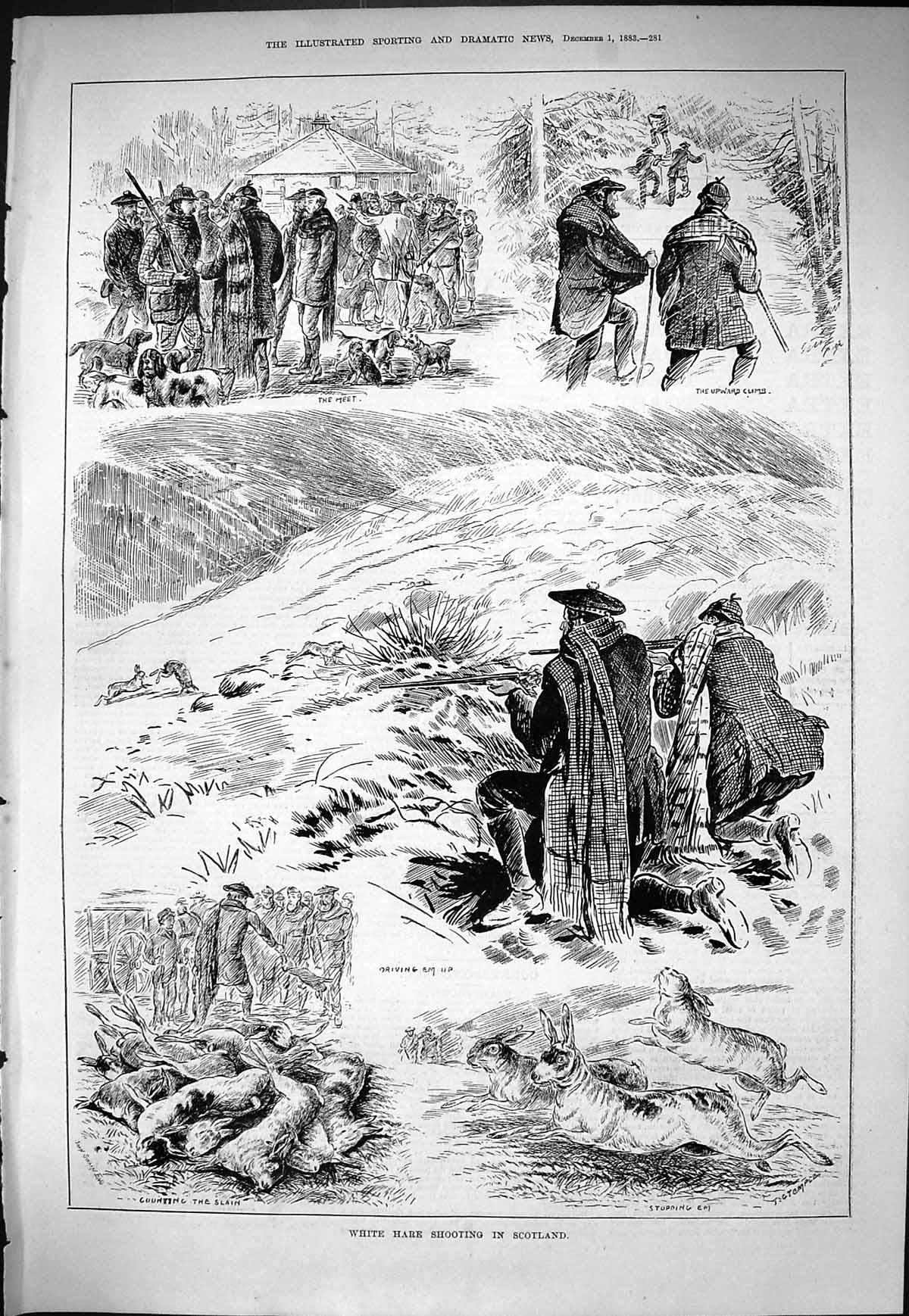 Old Sporting Dramatic News 1883 White Hare Shooting Scotland Hunting Victorian