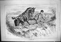 Old Sporting Dramatic News 1883 Scramble Over Hedge Horses Hunting Hu Victorian