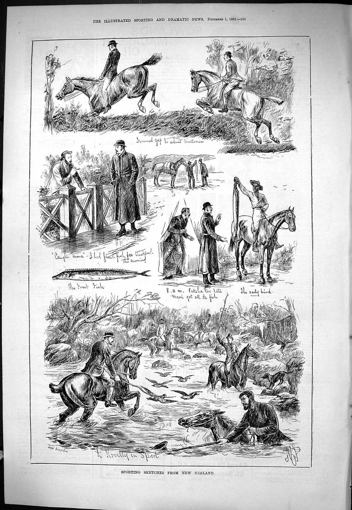 Old Sporting Dramatic News 1883 Sport New Zealand Hunting Horses Dogs Victorian