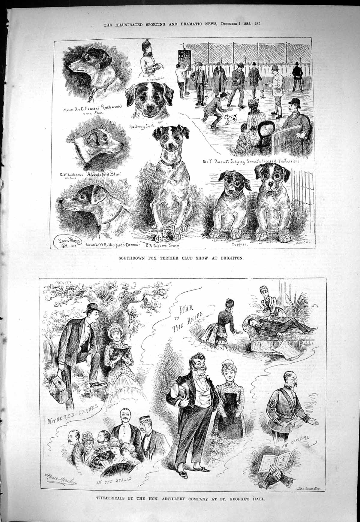 Old 1883 Southdown Fox Terrier Dog Sho Brighton Theatre Artillery Com Victorian