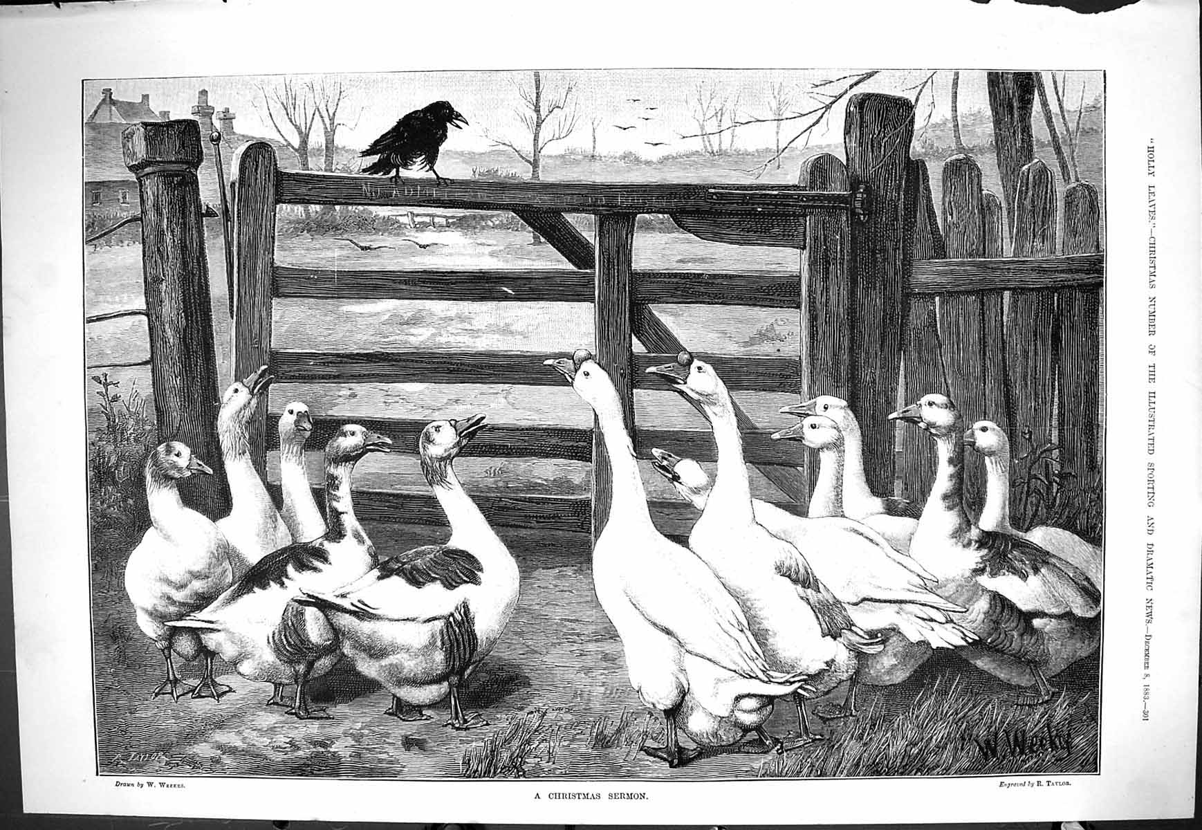 Old Sporting Dramatic News 1883 Christmas Sermon Black Bird Geese Bir Victorian