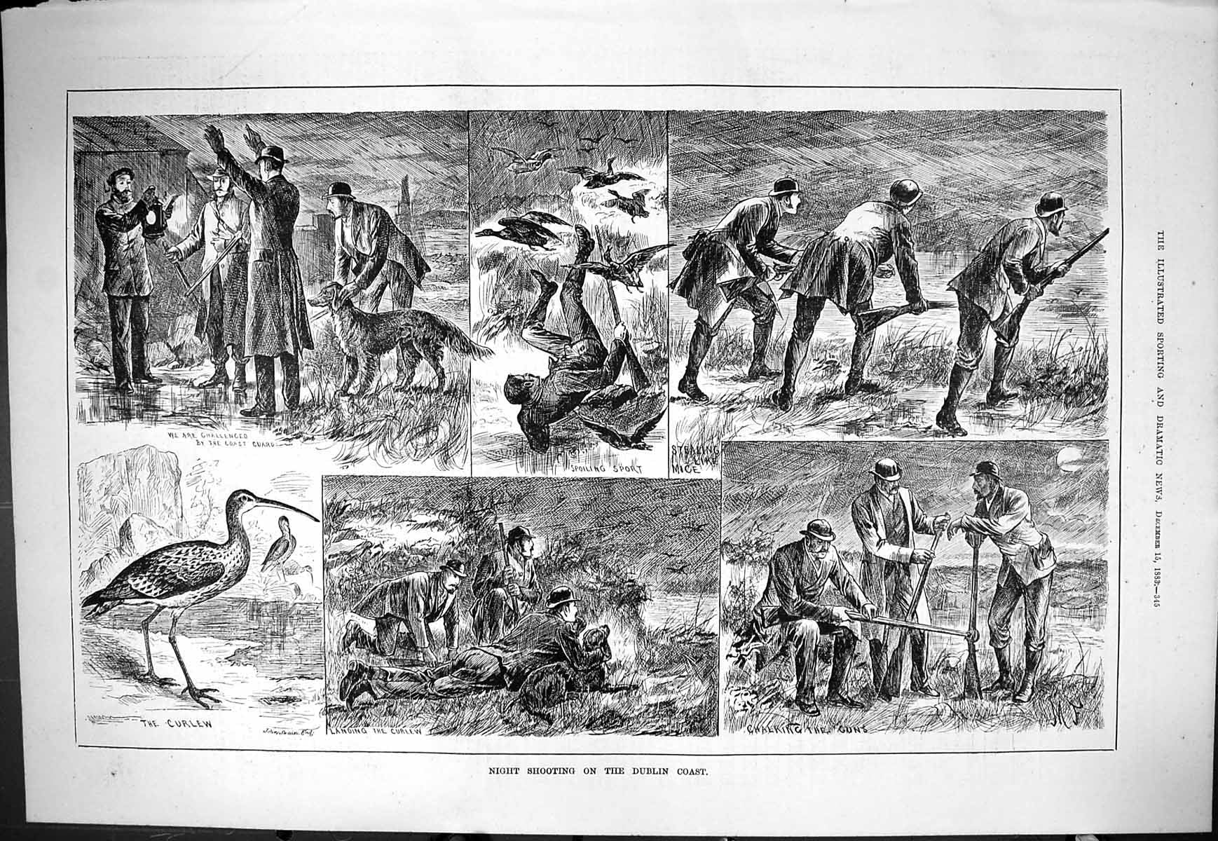 Old Sporting Dramatic News 1883 Night Shooting Dublin Ireland Curlew Victorian
