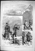 Old Sporting Dramatic News 1883 Ptarmigan Shooting Hunting Birds Moun Victorian