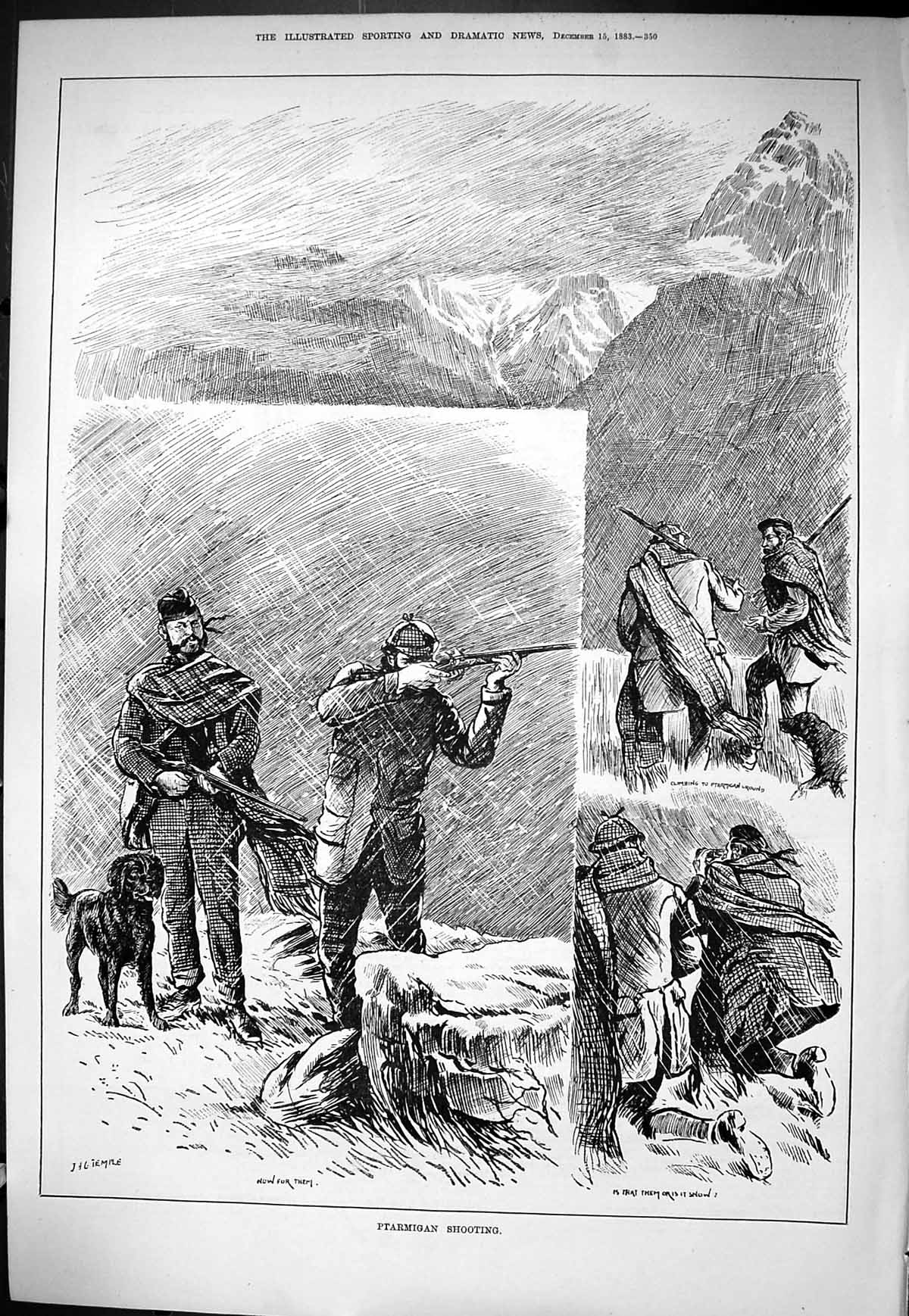 Old Sporting Dramatic News 1883 Ptarmigan Shooting Hunting Birds Moun Victorian