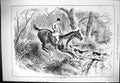 Old Sporting Dramatic News 1883 Gone Away Hunting Sport Huntsmen Houn Victorian