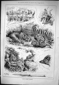 Old Sporting Dramatic News 1883 Indian Sport Hunting Tigers Pig Stick Victorian
