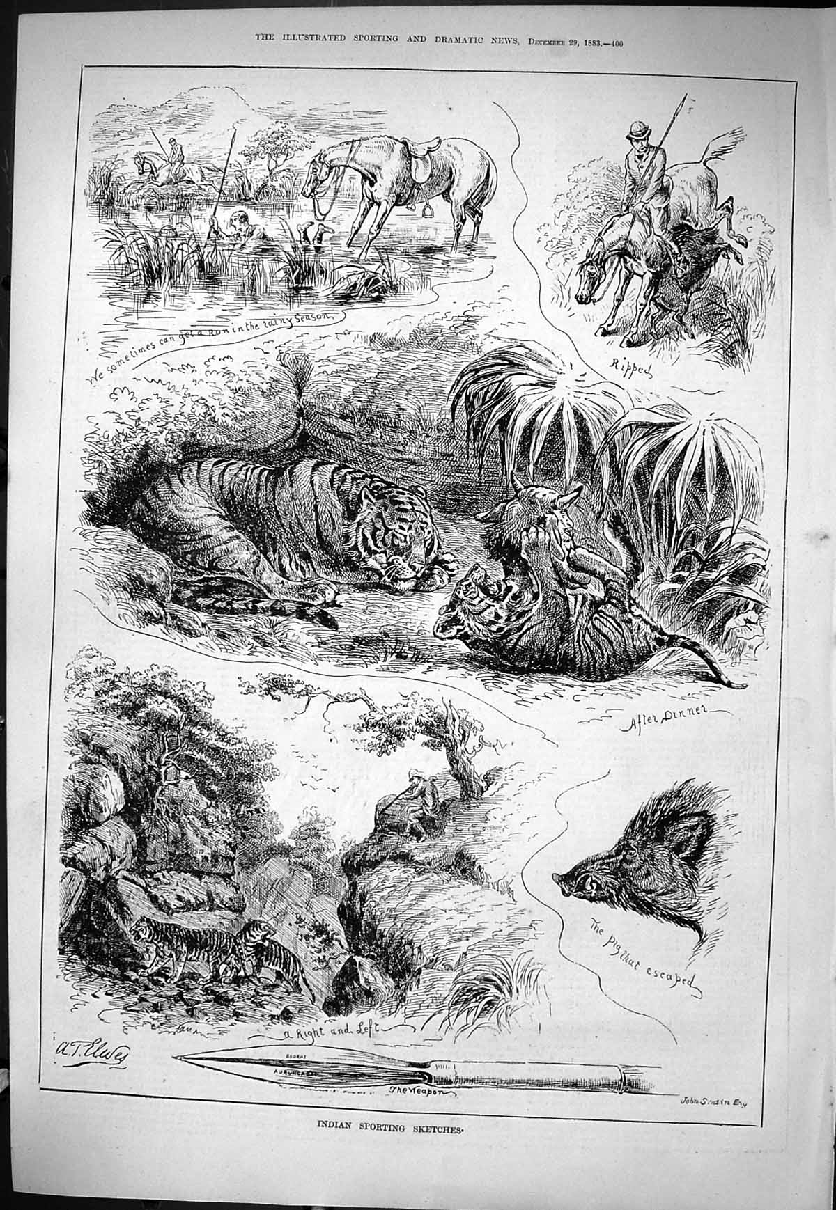 Old Sporting Dramatic News 1883 Indian Sport Hunting Tigers Pig Stick Victorian