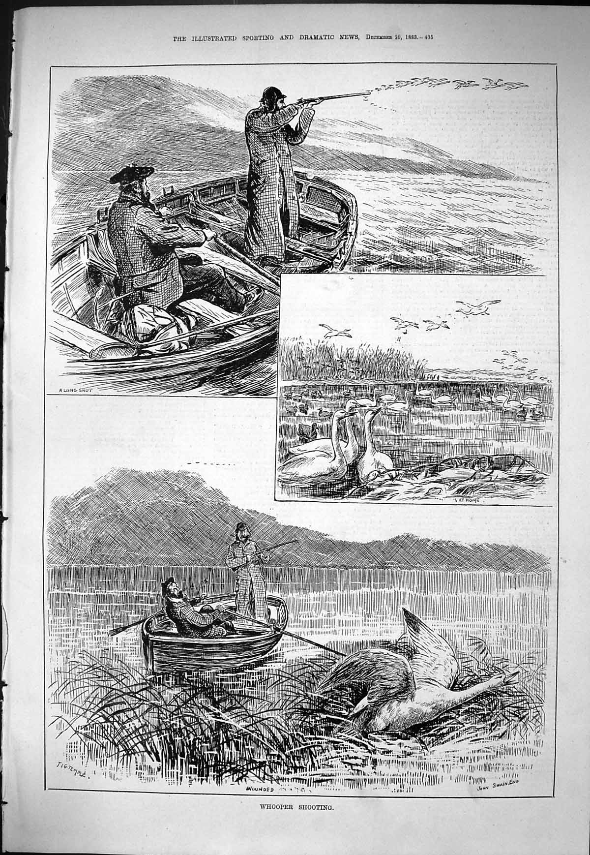Old Sporting Dramatic News 1883 Whooper Shooting Hunting Birds River Victorian