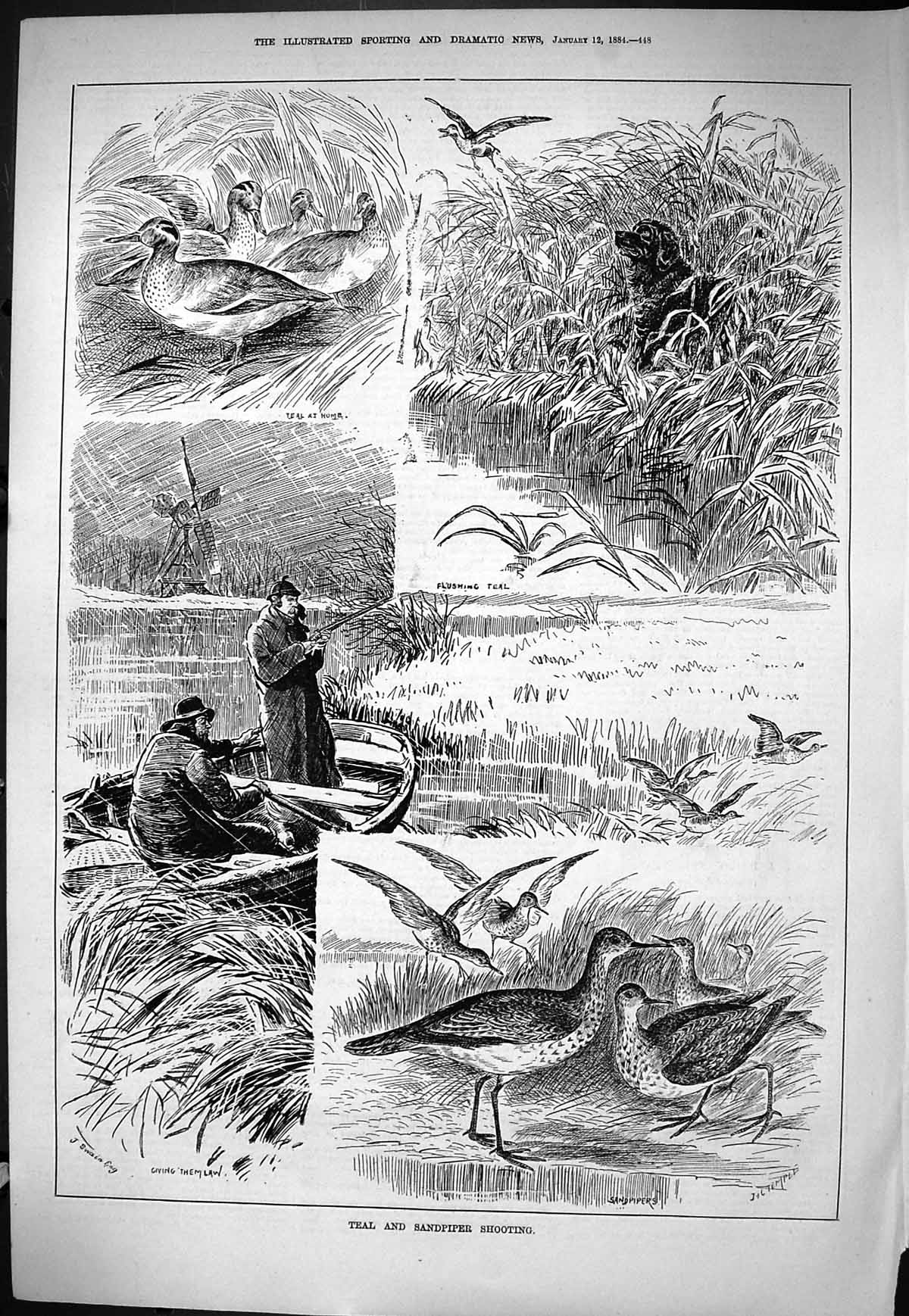Old Sporting Dramatic News 1884 Teal Sandpiper Shooting Birds Hunting Victorian