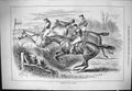 Old Sporting Dramatic News 1884 Awkward Fences Horse Jumping Jockeys Victorian