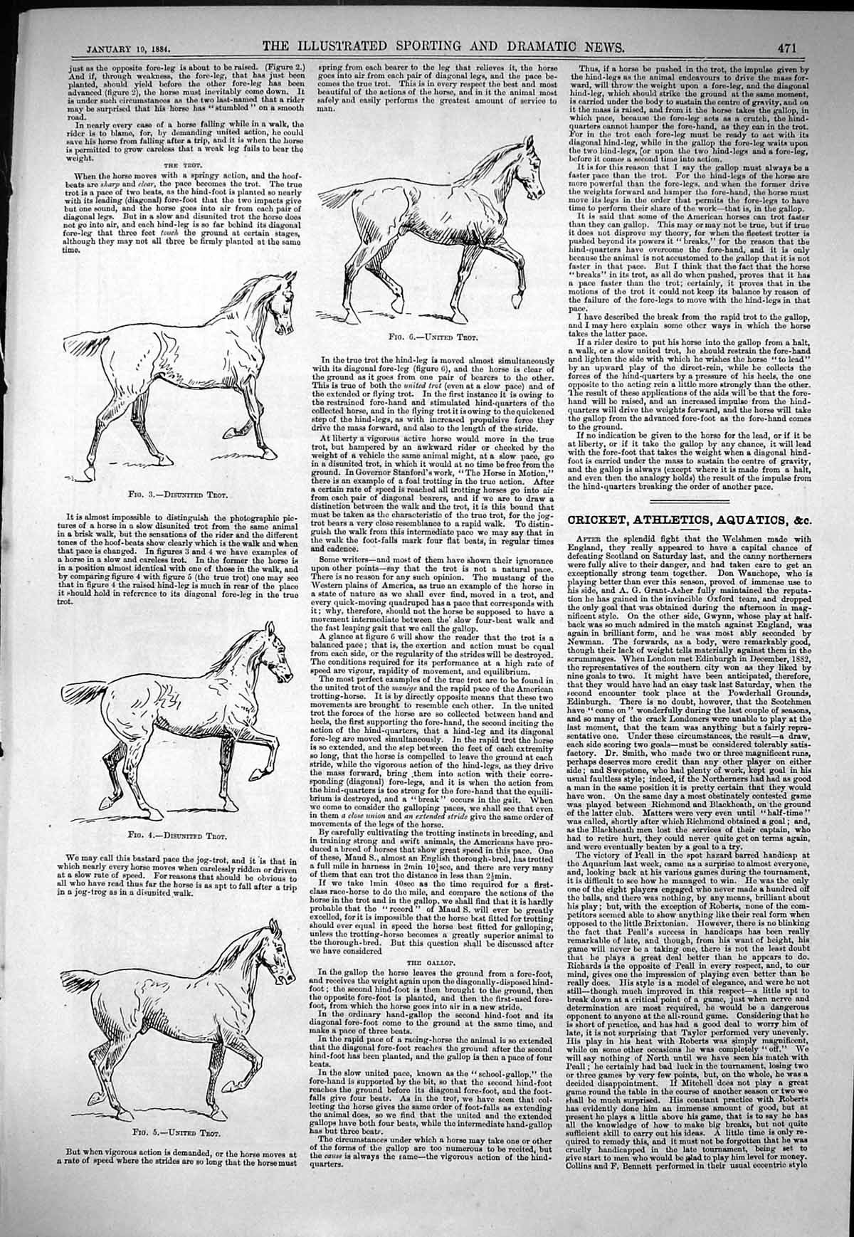 Old Sporting Dramatic News 1884 Horses Trotting Craven Cottage Fulham Victorian